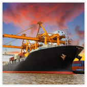 expertise Admiralty and Shipping